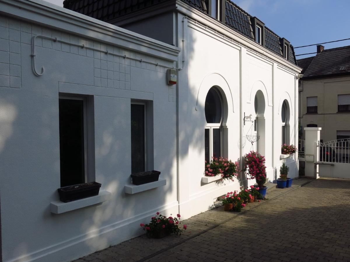 Gite De La Conciergerie Du Cheval Blanc Luttre Dış mekan fotoğraf